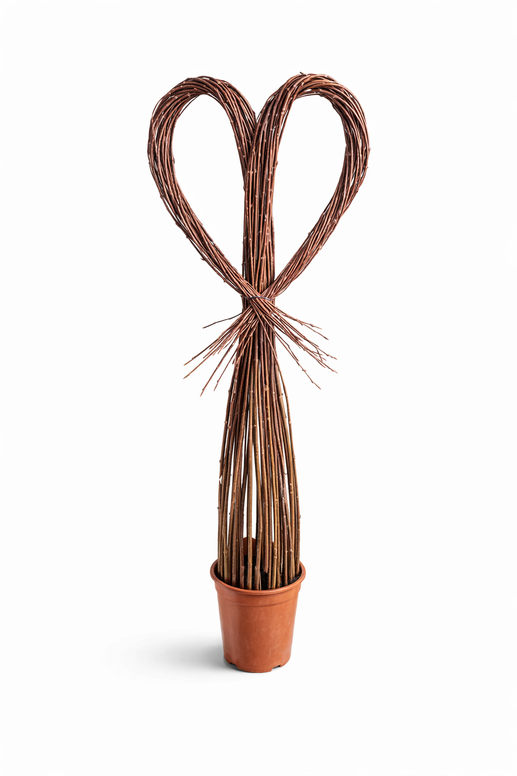 26BC9EB7-463C-4389-9F36-ED031AE4270C